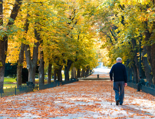 What Is Seasonal Affective Disorder and How Does It Impact Seniors?